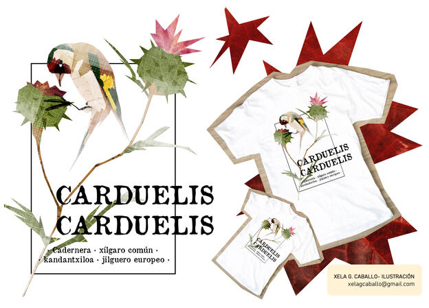 Deseño Camiseta Xílgaro Deseño para o concurso de camisetas de SEO Birdlife